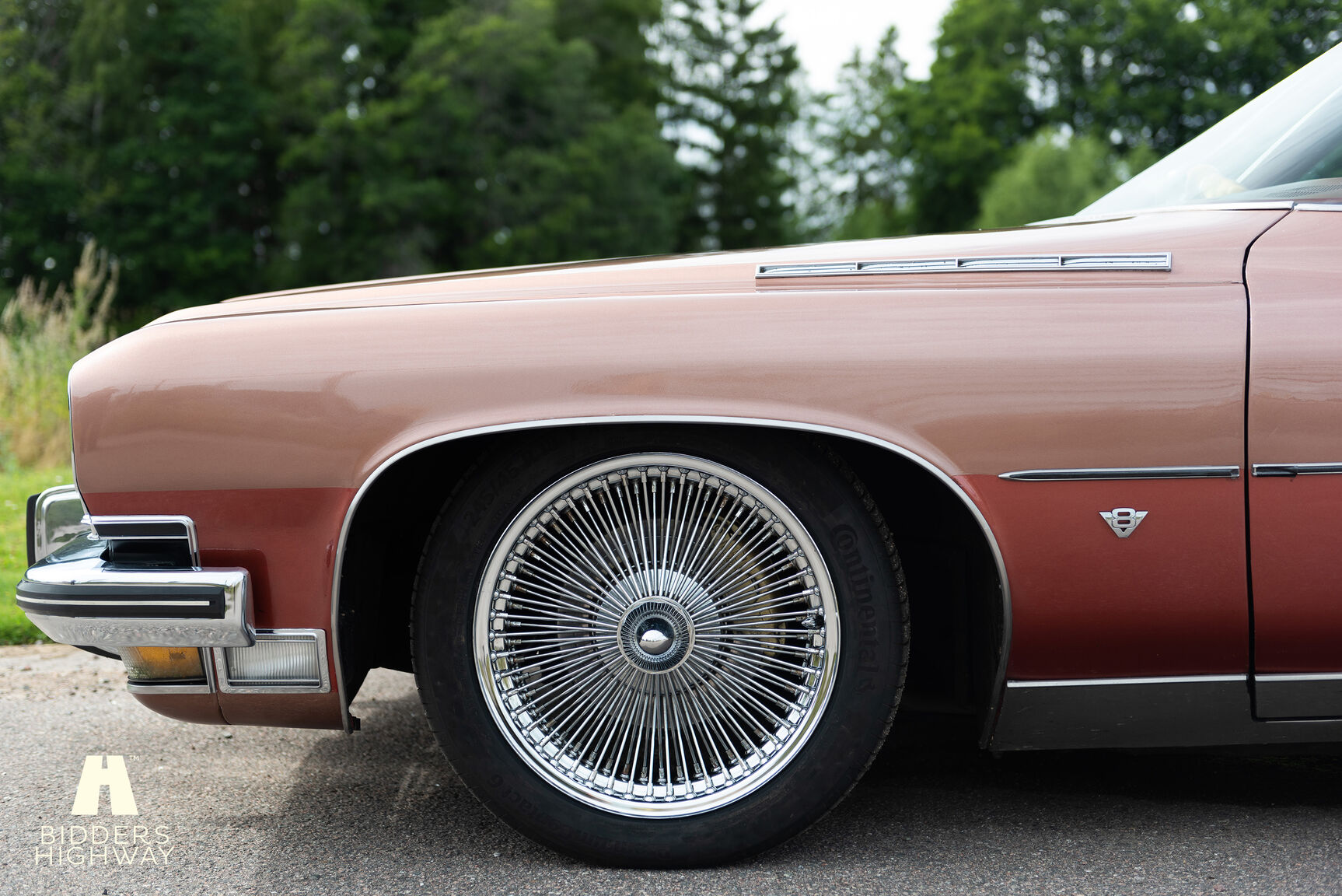 Aussenfoto 1973 Buick Electra Custom 2D HT Coupe