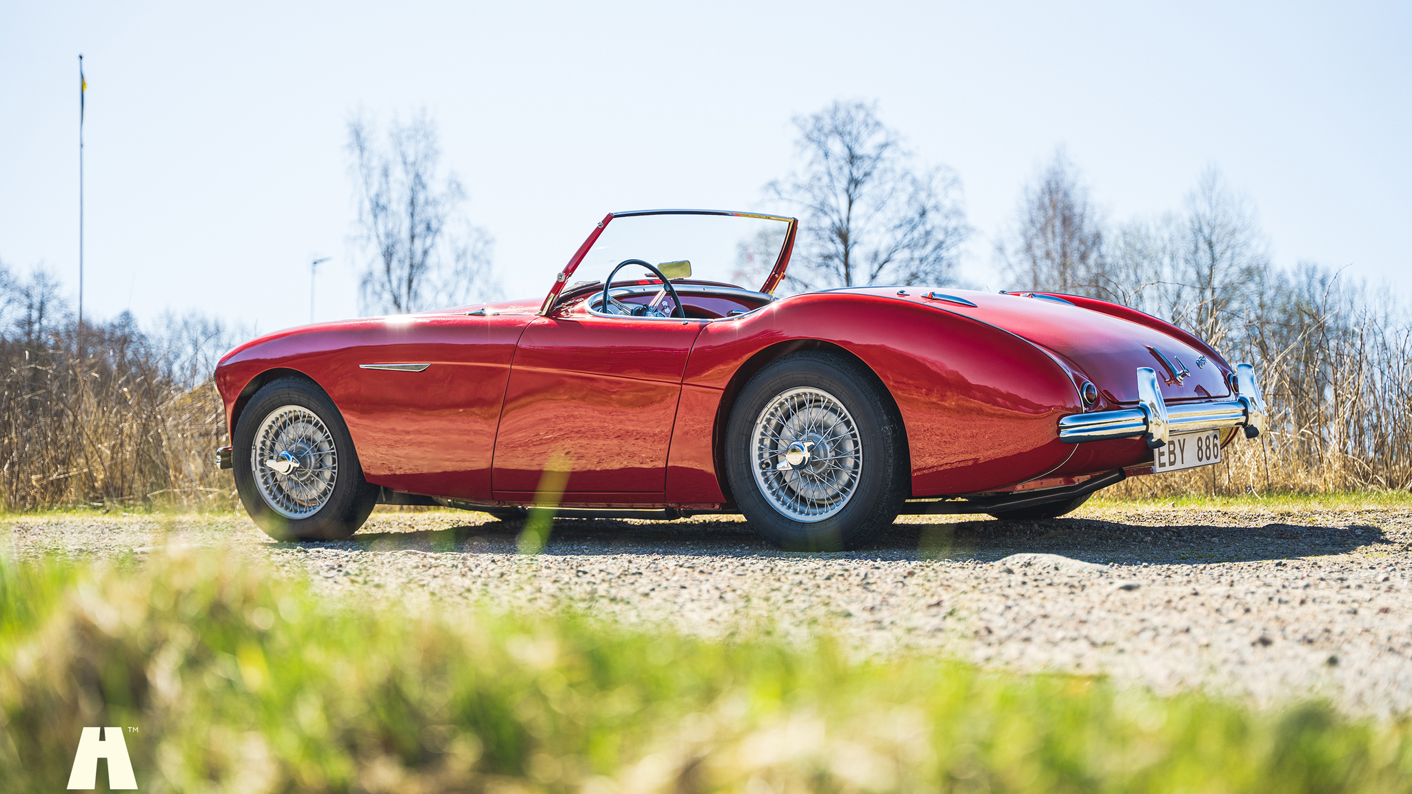 Aussenfoto 1954 Austin Healey 100 BN1 (7)