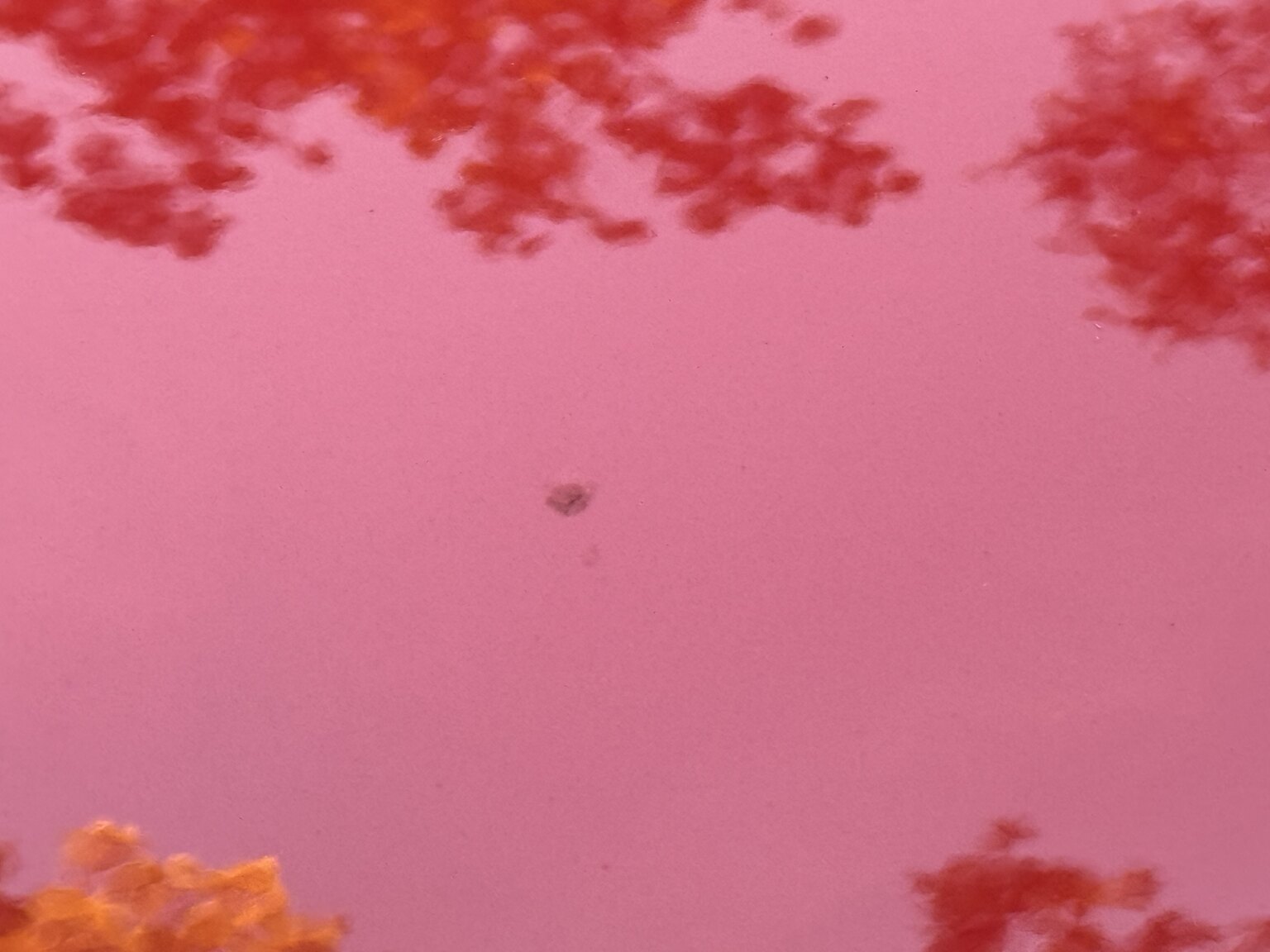 Exteriörbild på 2004 Mazda MX-5