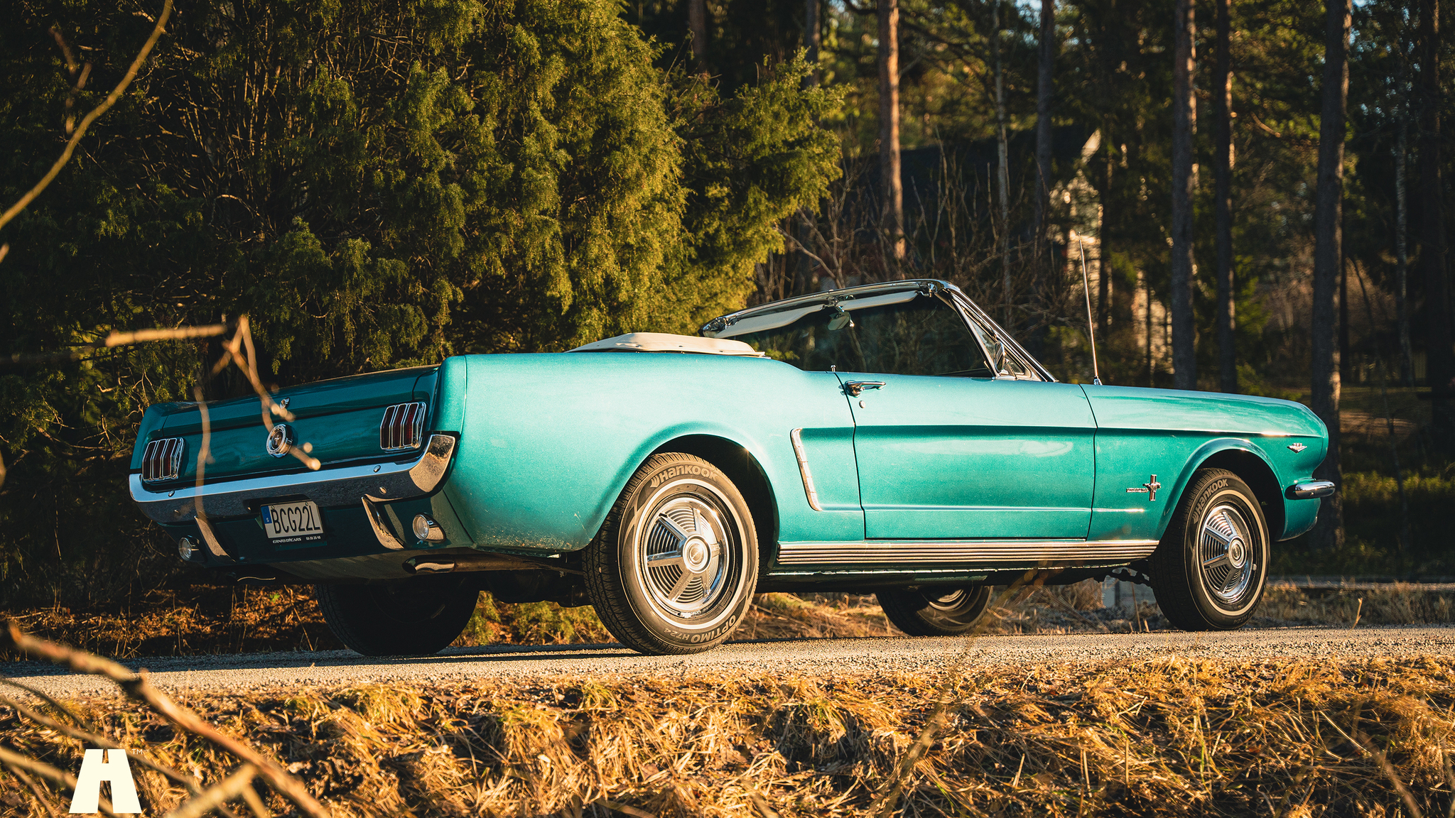 Aussenfoto 1965 Ford Mustang Cabriolet (3)
