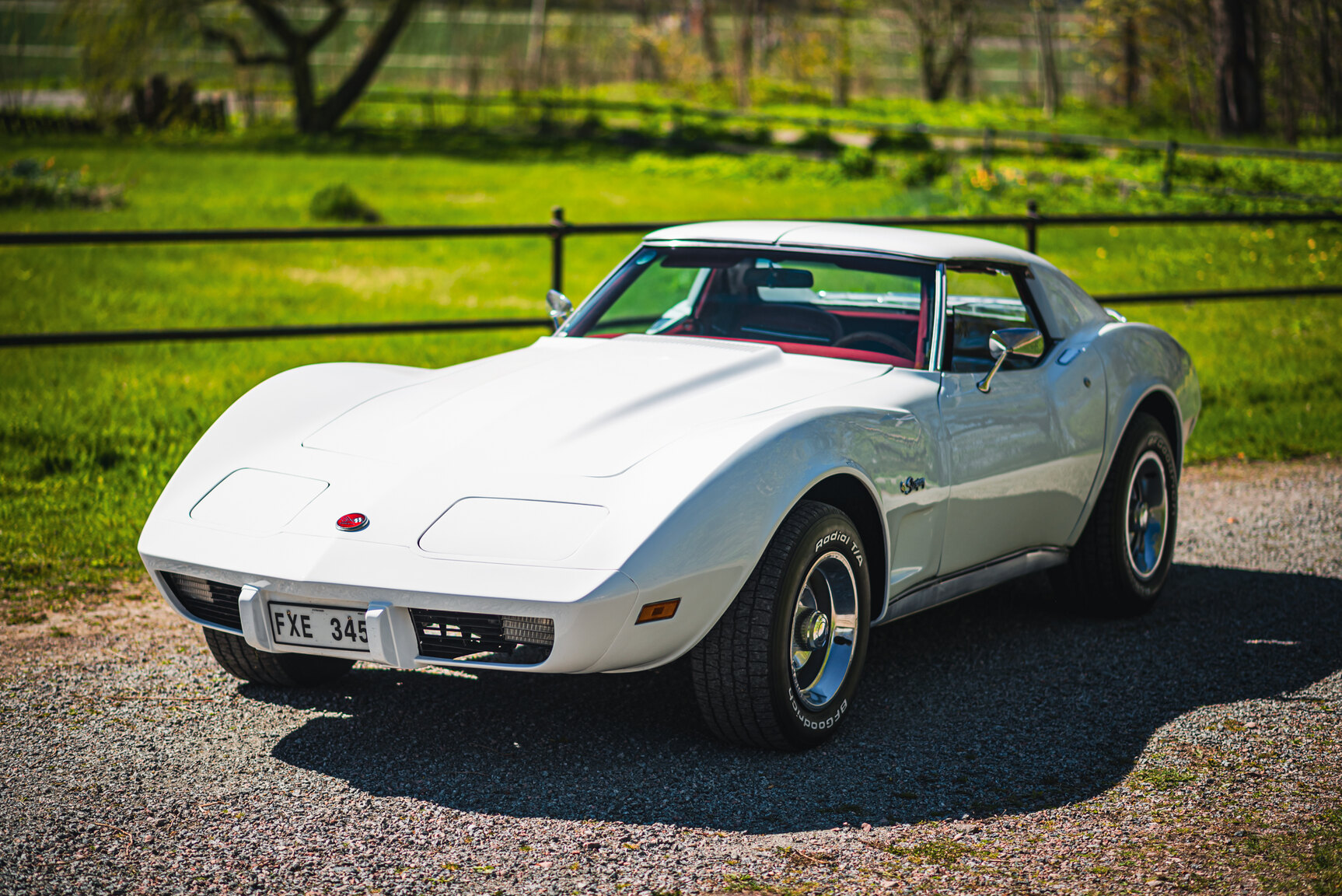 Exterior image of 1975 Chevrolet Corvette Stingray (7)