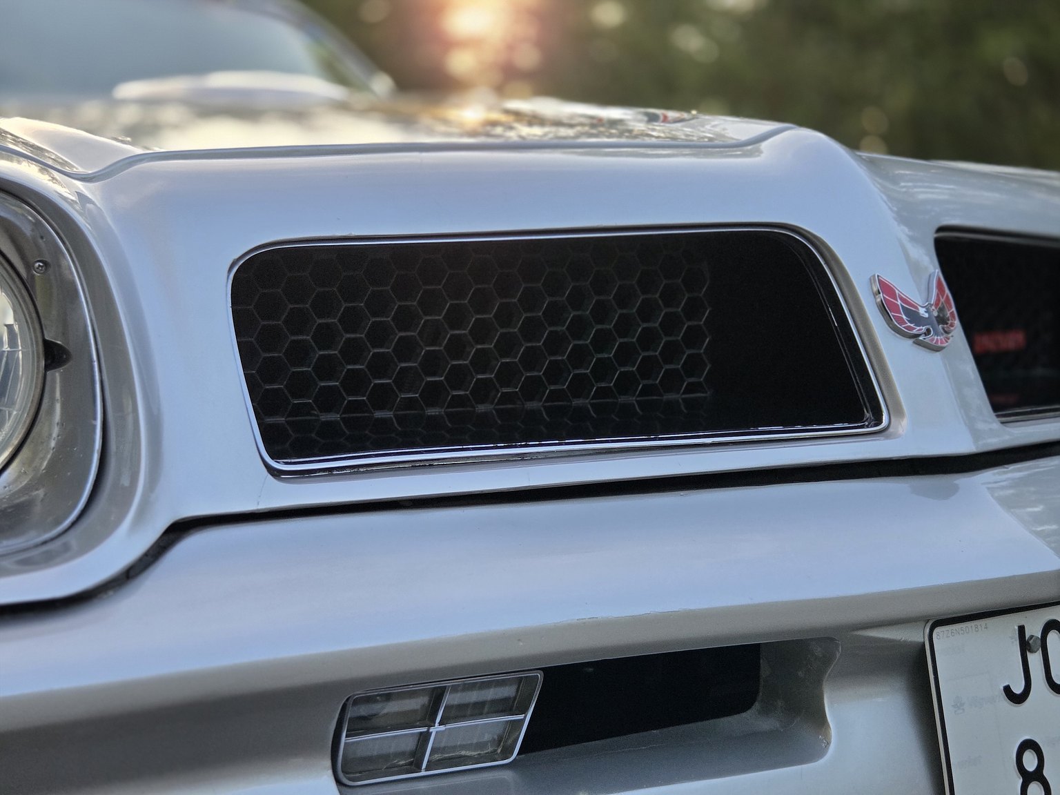 Exteriörbild på 1976 Pontiac Firebird Trans Am
