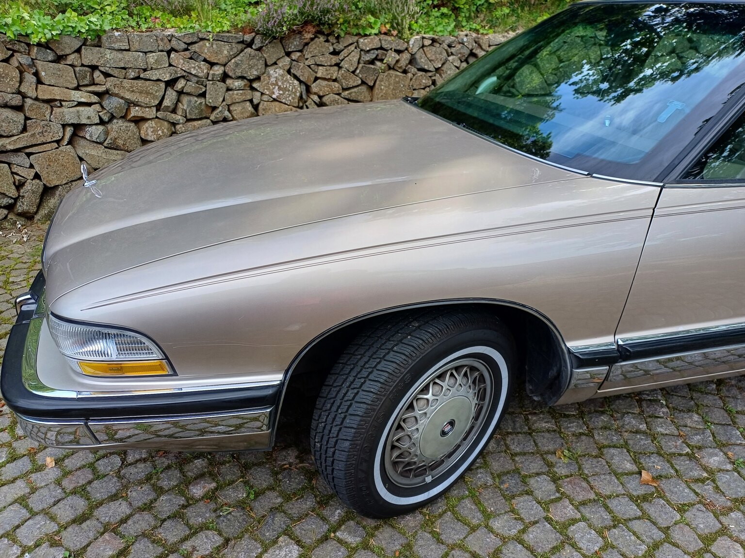 Exteriörbild på 1992 Buick Park Avenue
