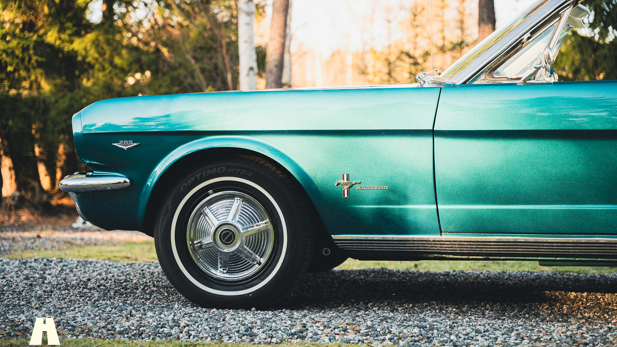Exteriörbild på 1965 Ford Mustang Cabriolet (102)