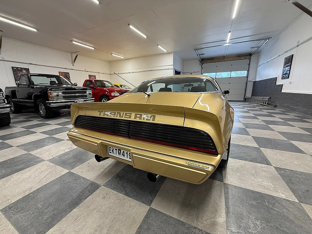 Bild von 1979 Pontiac Firebird (11)