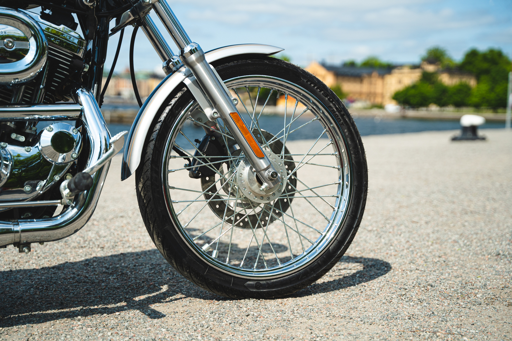 Exterior image of 2003 Harley Davidson Sportster 1200 100th Anniversary (13)