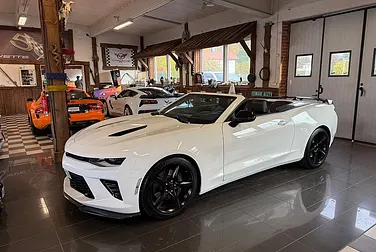 #<Image:0x00007f2ff2168ea0>