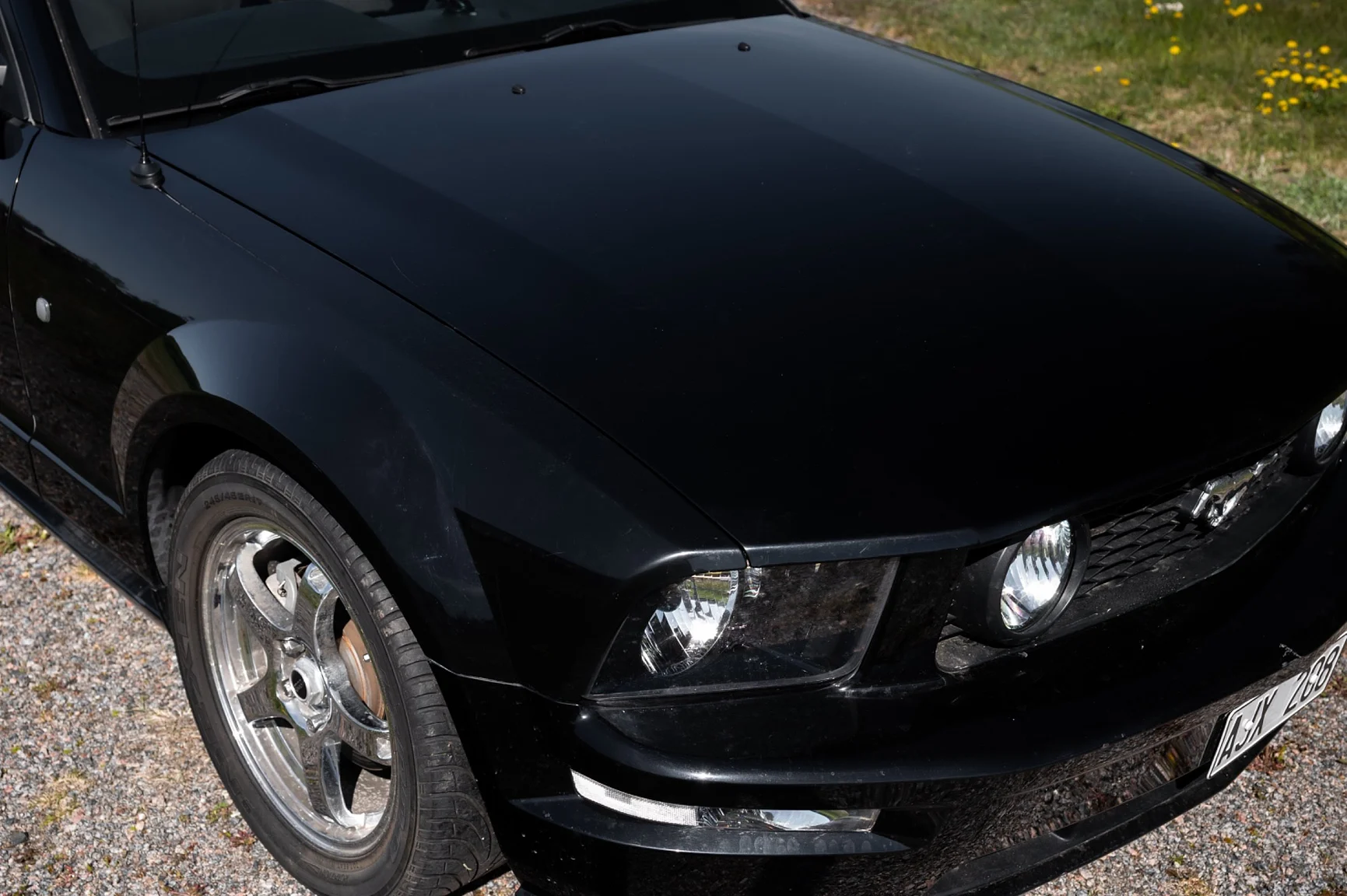 Exteriörbild på 2006 Ford Mustang Convertible (17)