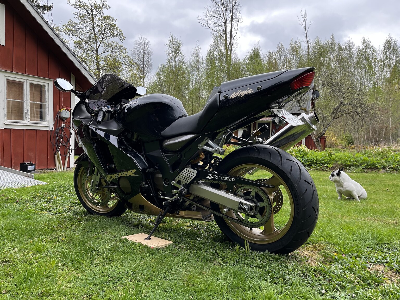 Exteriörbild på 2002 Kawasaki Ninja ZX-12R