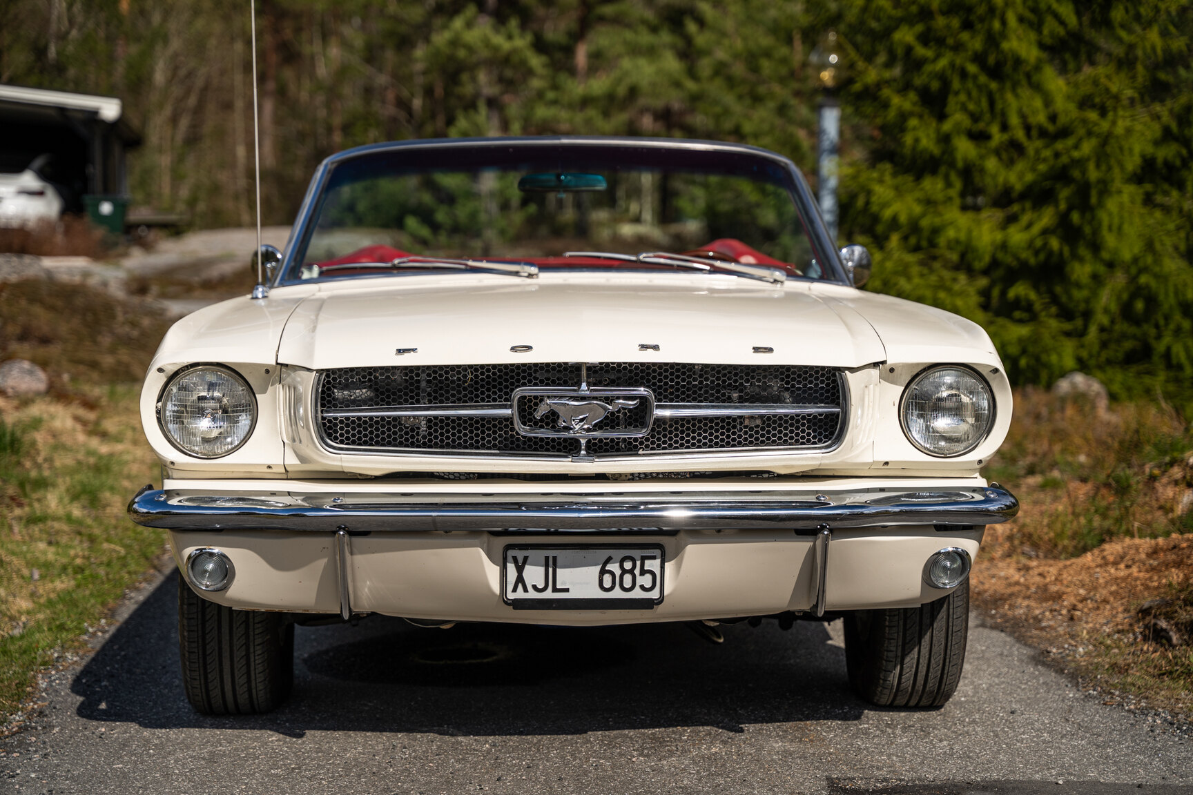 Aussenfoto 1965 Ford Mustang Cabriolet (16)
