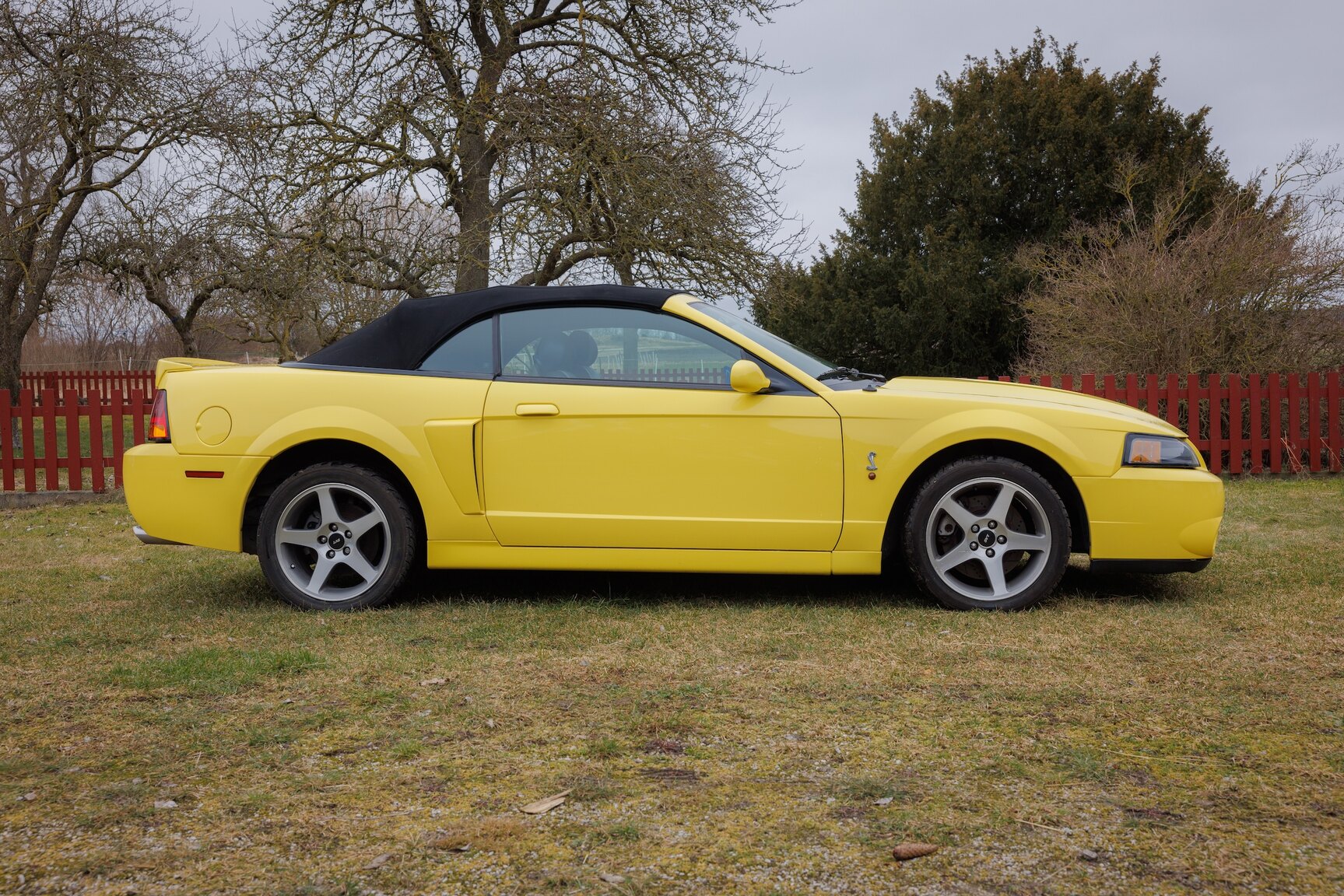 Aussenfoto 2003 Ford Mustang SVT Cobra