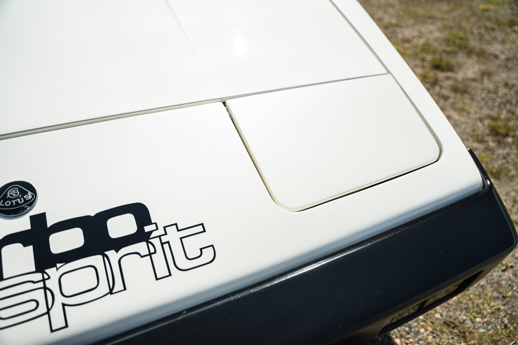Exterior image of 1983 Lotus Esprit Turbo 2.2
