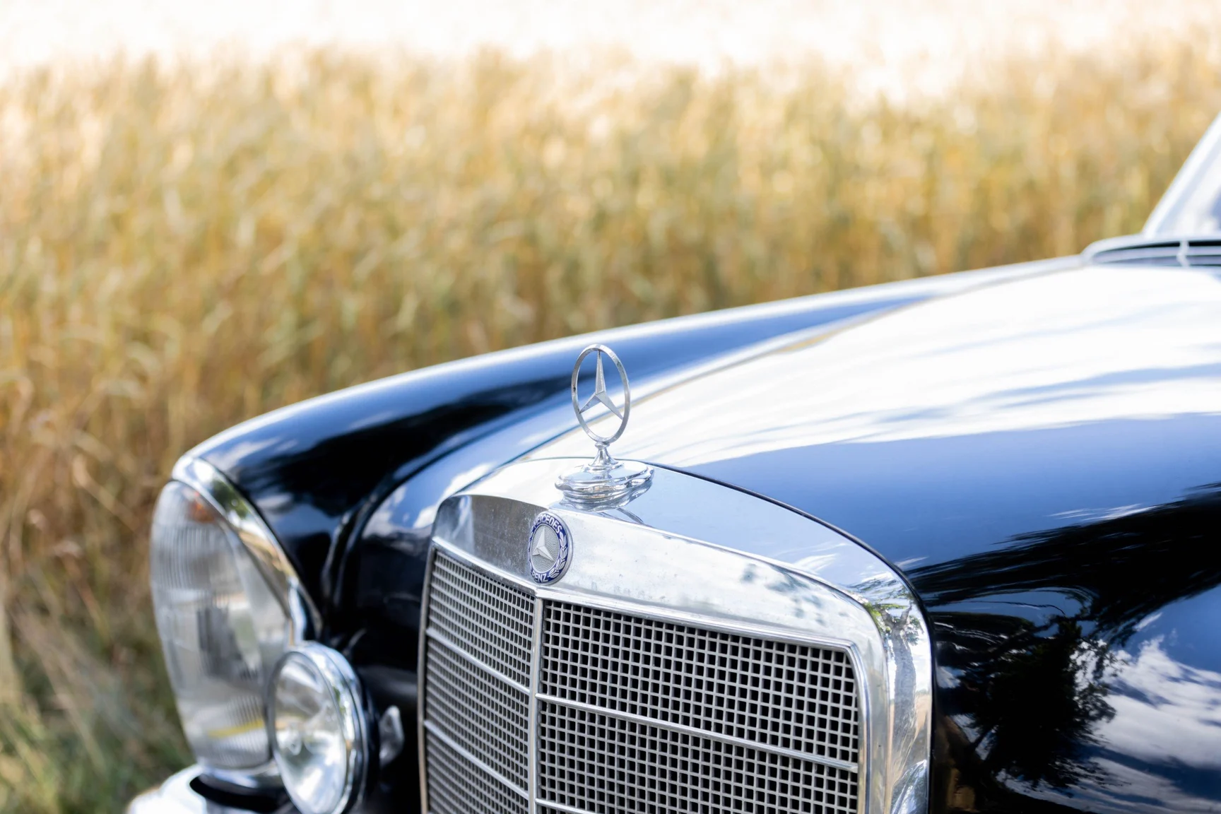 Aussenfoto 1967 Mercedes-Benz 250 S 250 s (26)