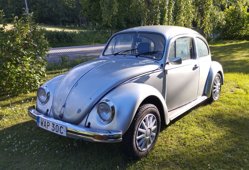 1981 1981 VOLKSWAGEN 