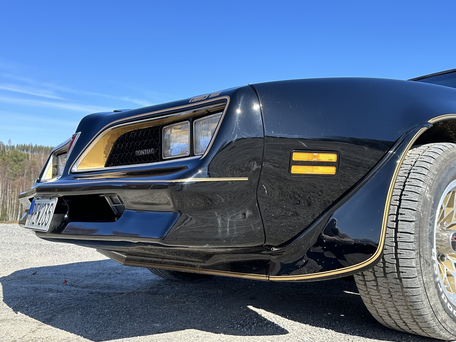 Exterior image of 1978 Pontiac Trans Am Bandit 400