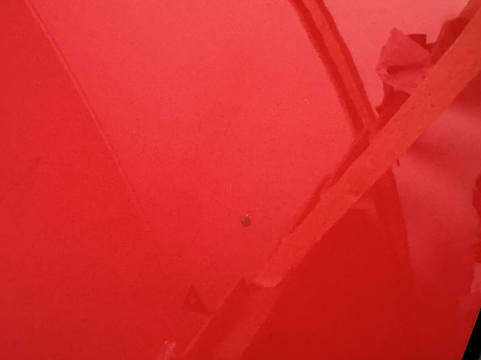 Exterior image of 2004 Mazda MX-5