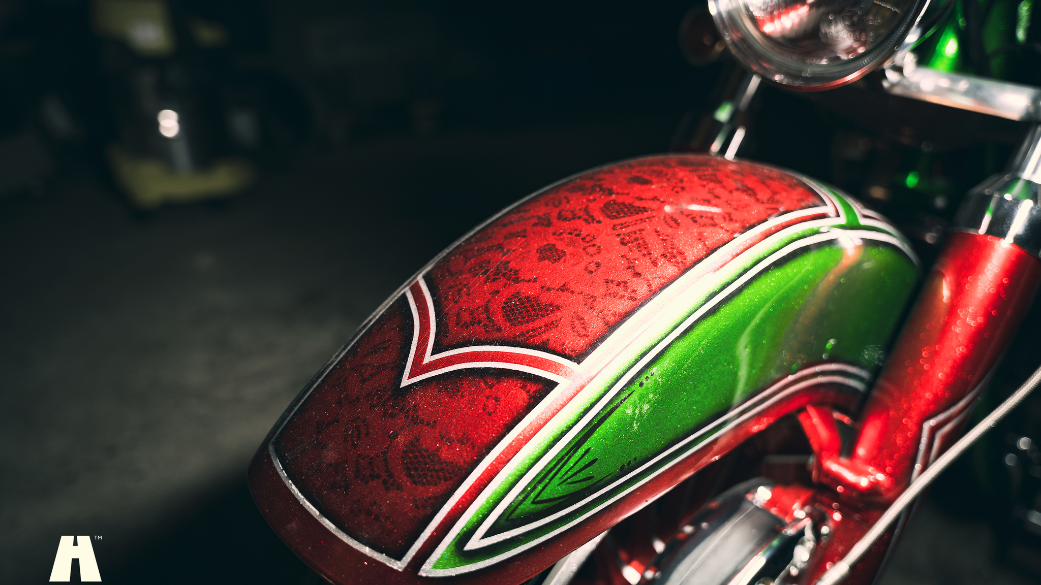 Aussenfoto 1978 Harley Davidson FLH