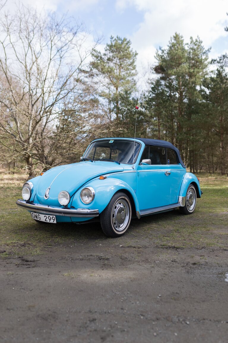 Aussenfoto 1974 VW 1303 LS CAB (77)