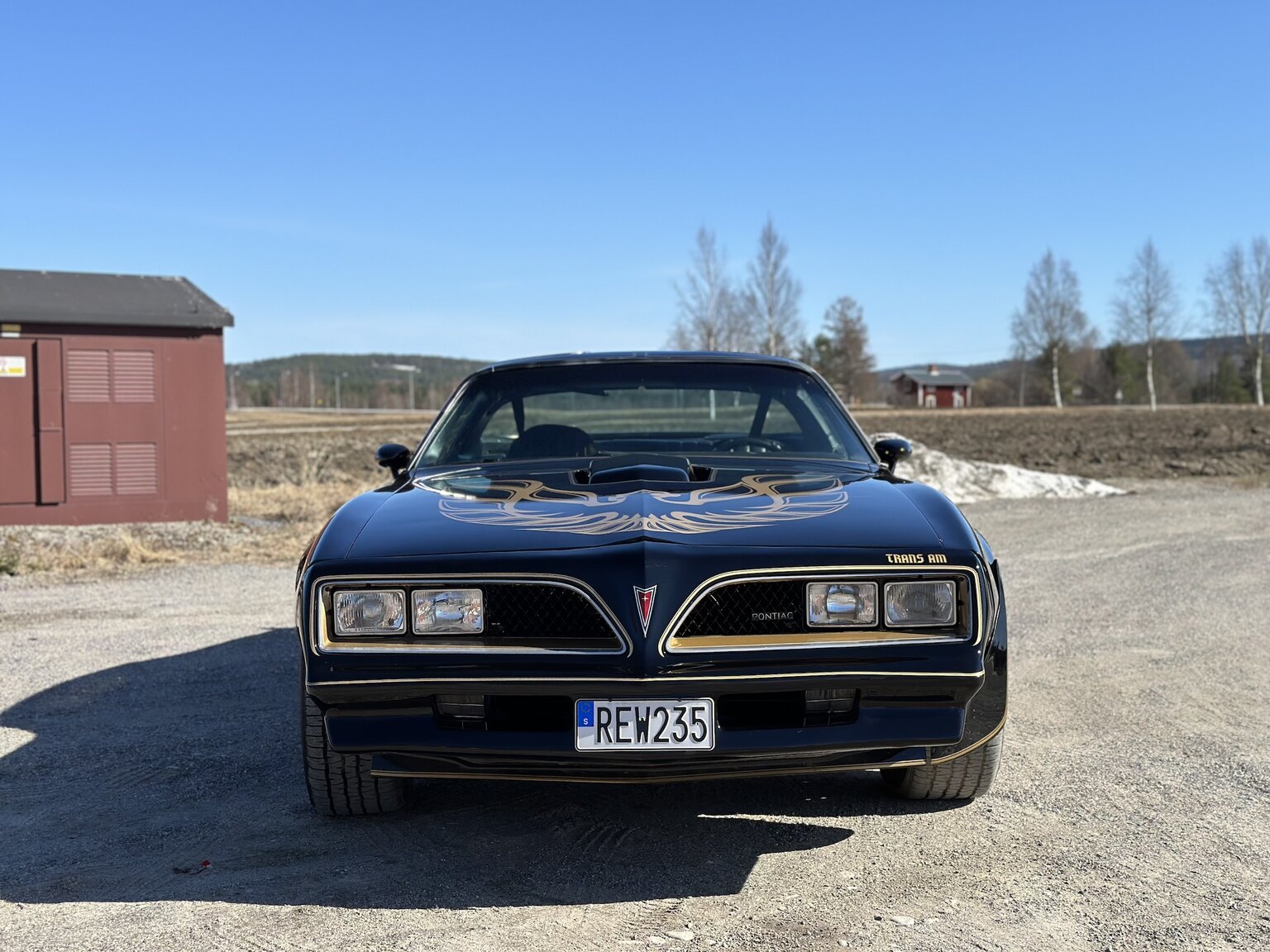 Exteriörbild på 1978 Pontiac Trans Am Bandit 400