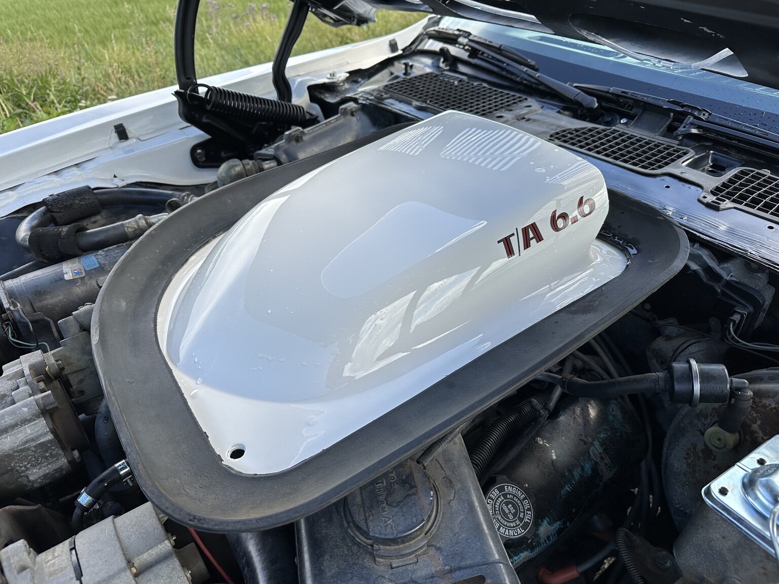Image of 1976 Pontiac Firebird Trans Am mechanics