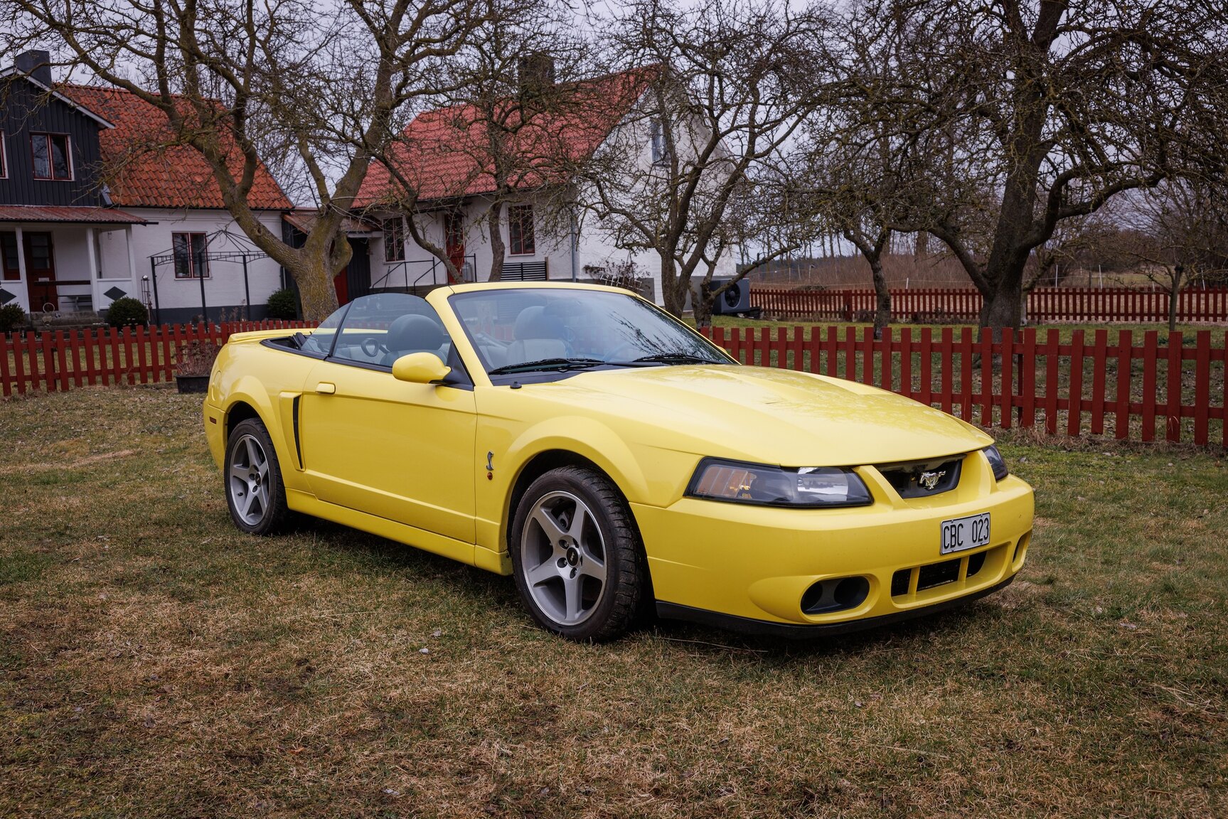 Aussenfoto 2003 Ford Mustang SVT Cobra