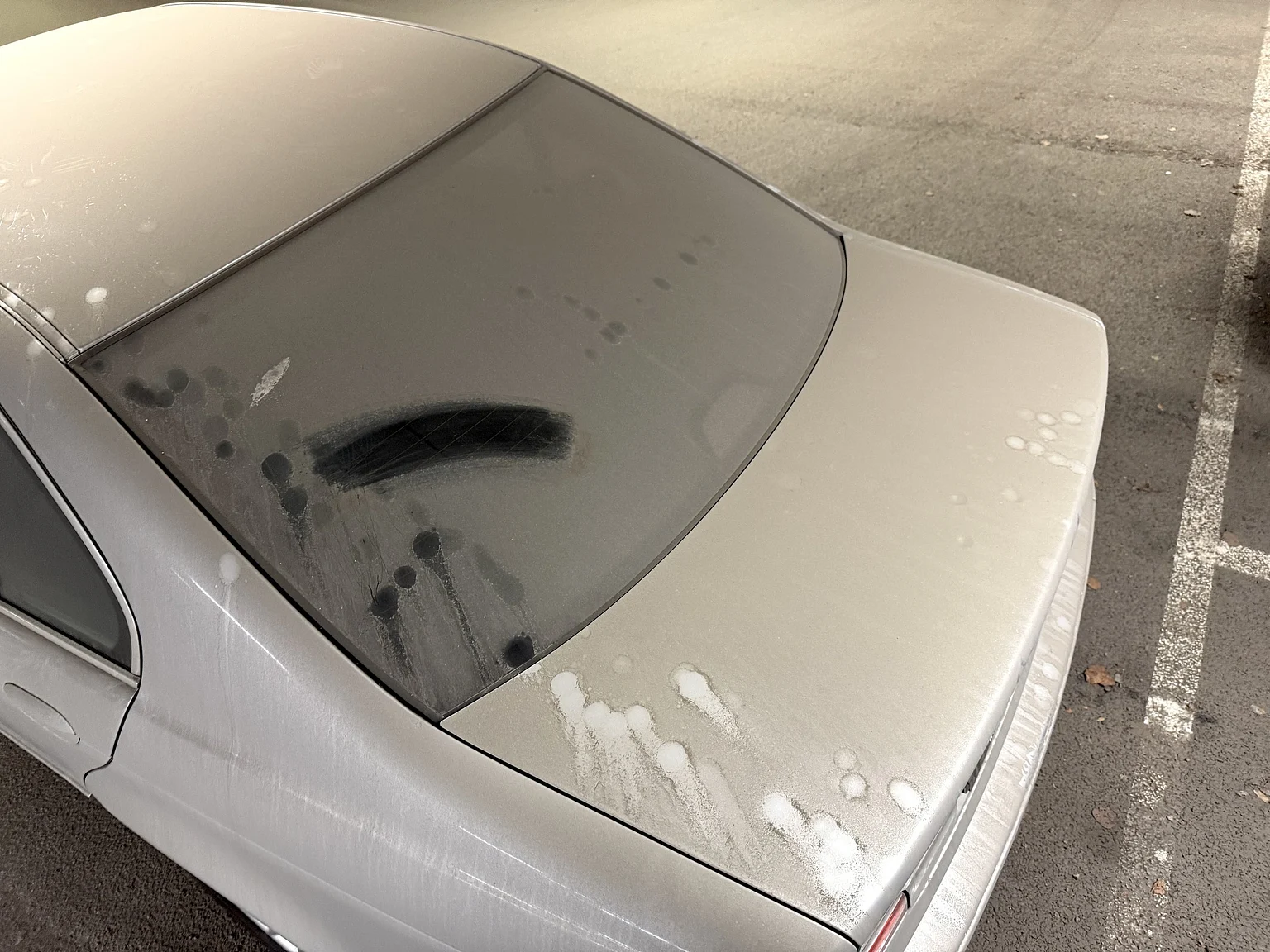 Exteriörbild på 2002 BMW 520i (35)
