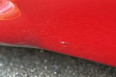 #<Image:0x00007feddd695b40>