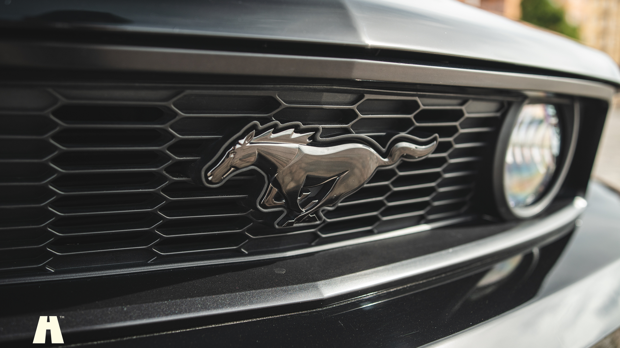 Exterior image of 2010 Ford Mustang GT 