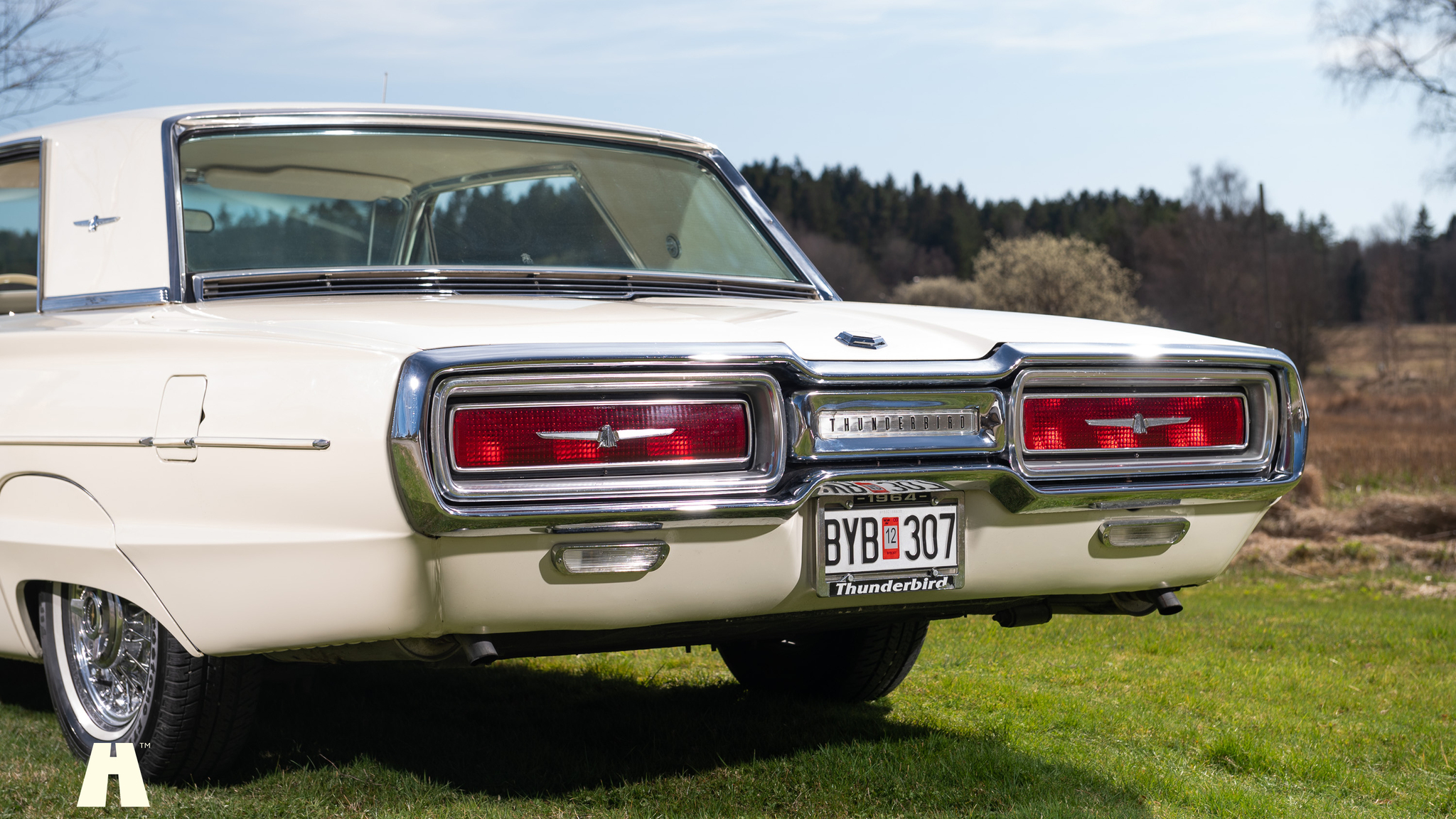 Exteriörbild på 1964 Ford Thunderbird 6.4 HT (11)