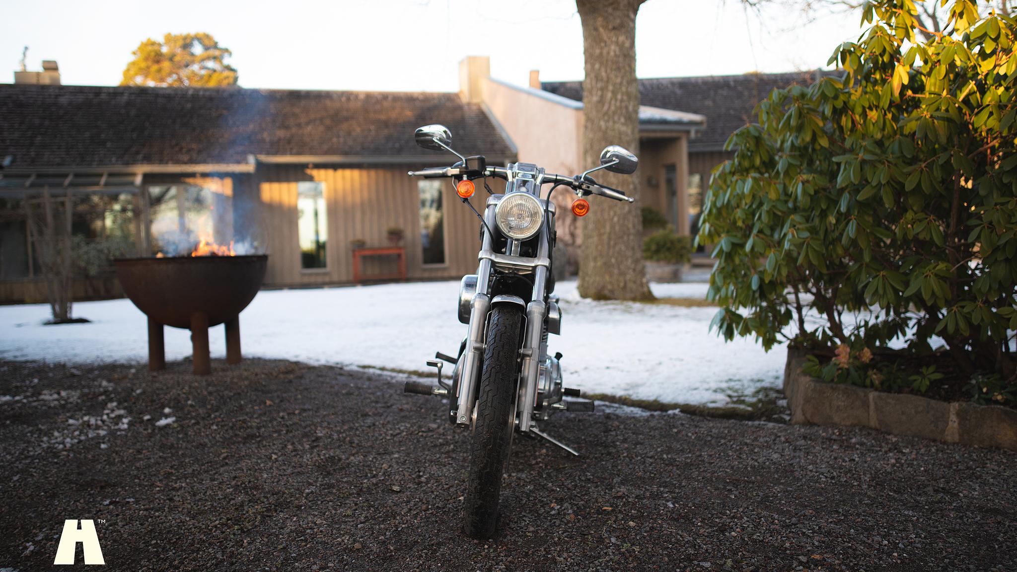 Exterior image of 2003 Harley Davidson Sportster 1200C 100th Anniversary Edition