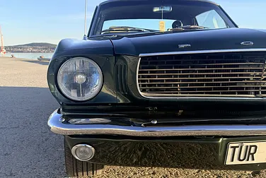 #<Image:0x00007fe99bf512c0>