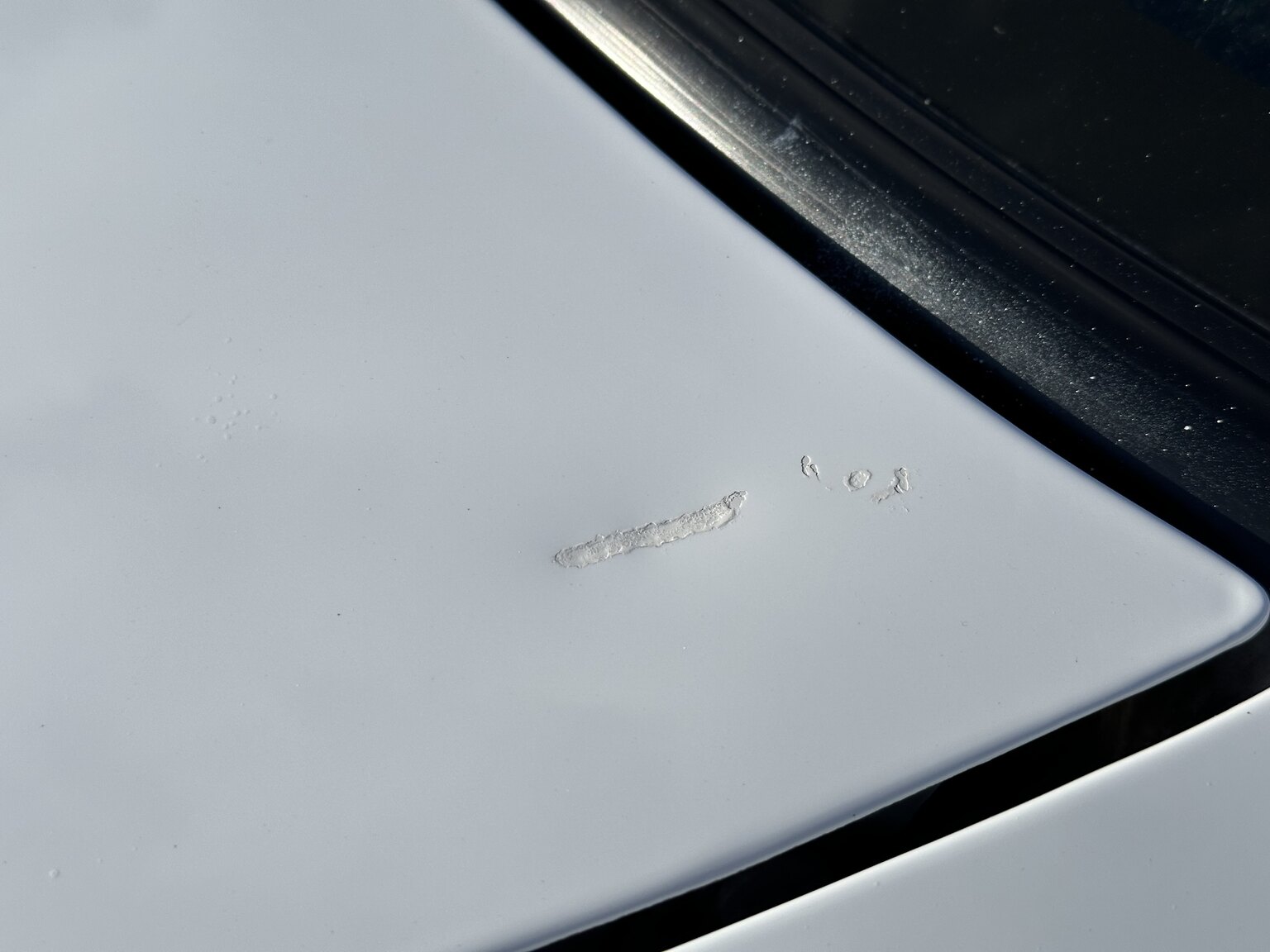 Exterior image of 1997 Ford Mustang Saleen S-281 Cobra