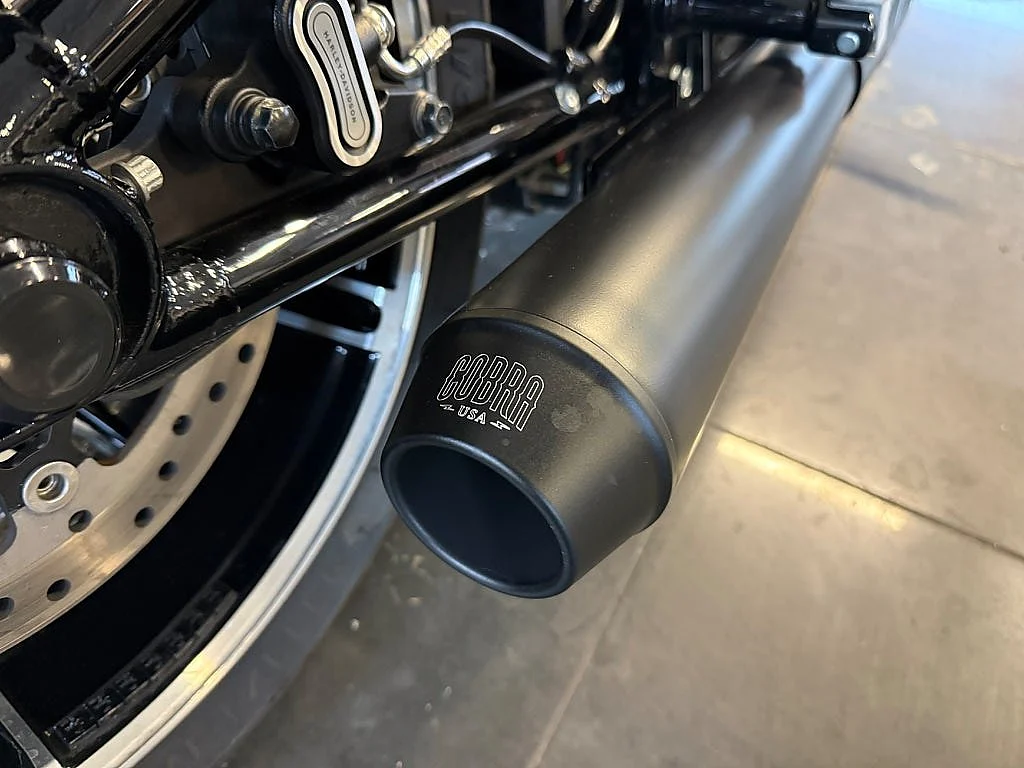 Bild von 2018 Harley-Davidson BREAKOUT 114 (18)