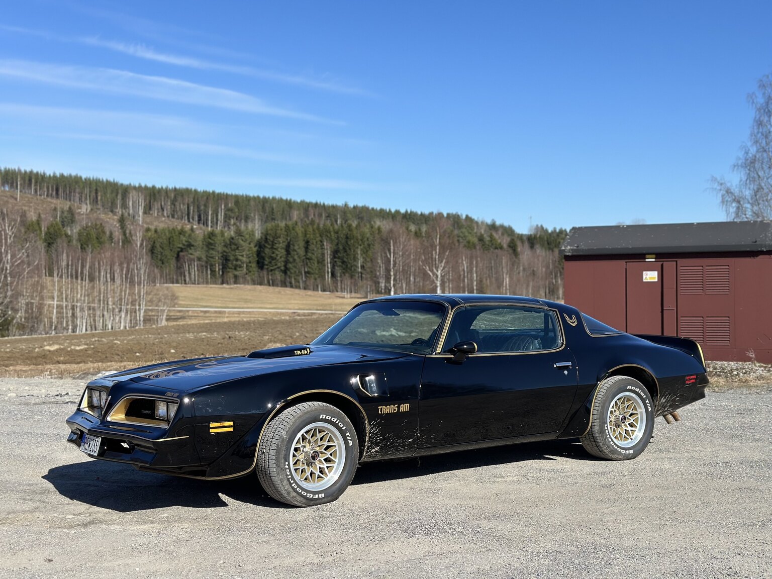 Exteriörbild på 1978 Pontiac Trans Am Bandit 400