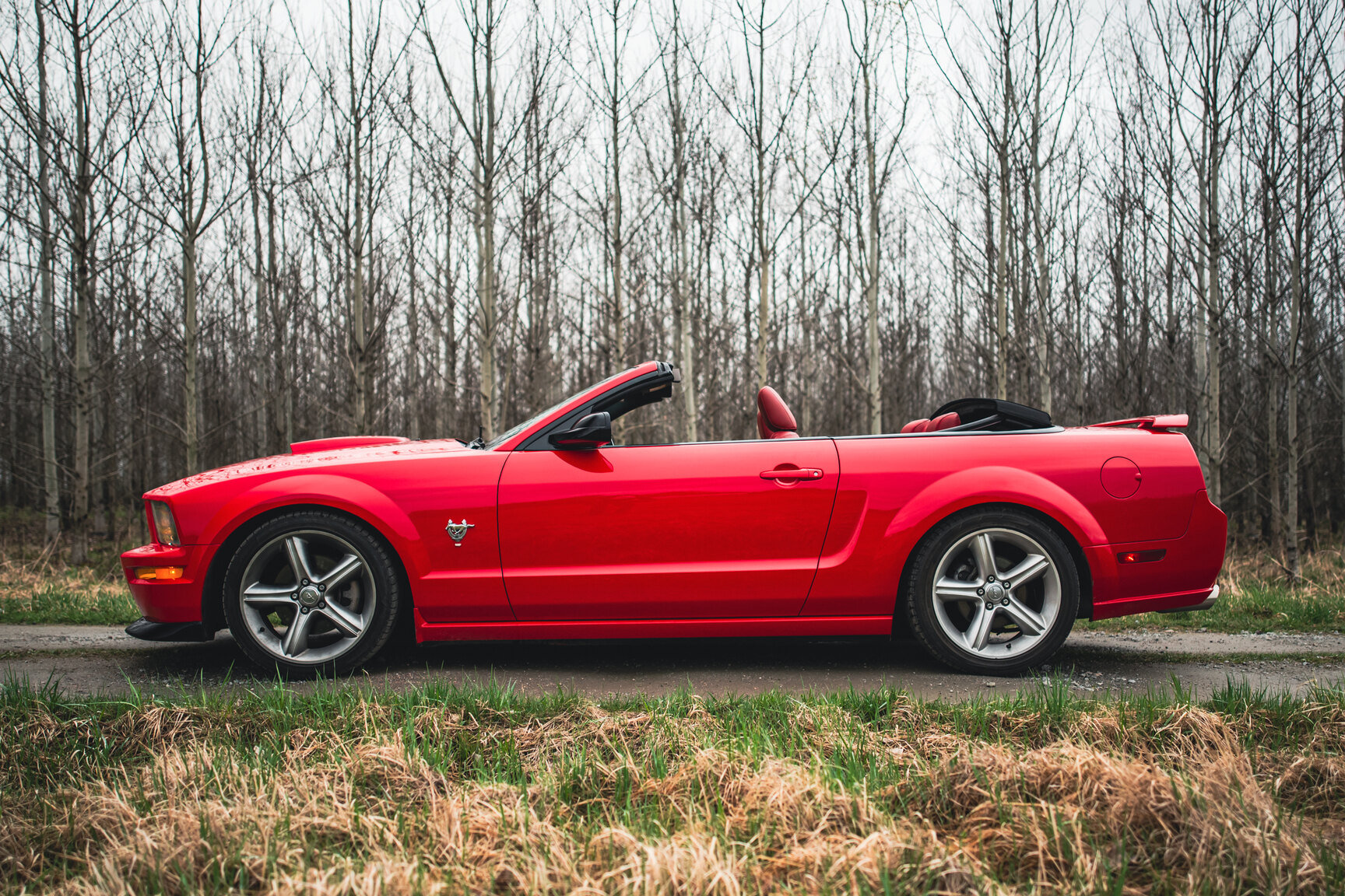 Exterior image of 2009 Ford Mustang V8 GT Convertible