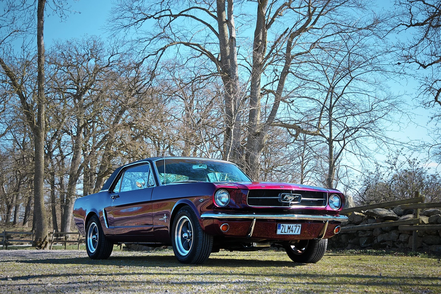 Aussenfoto 1965 Ford Mustang HT 289cui (10)