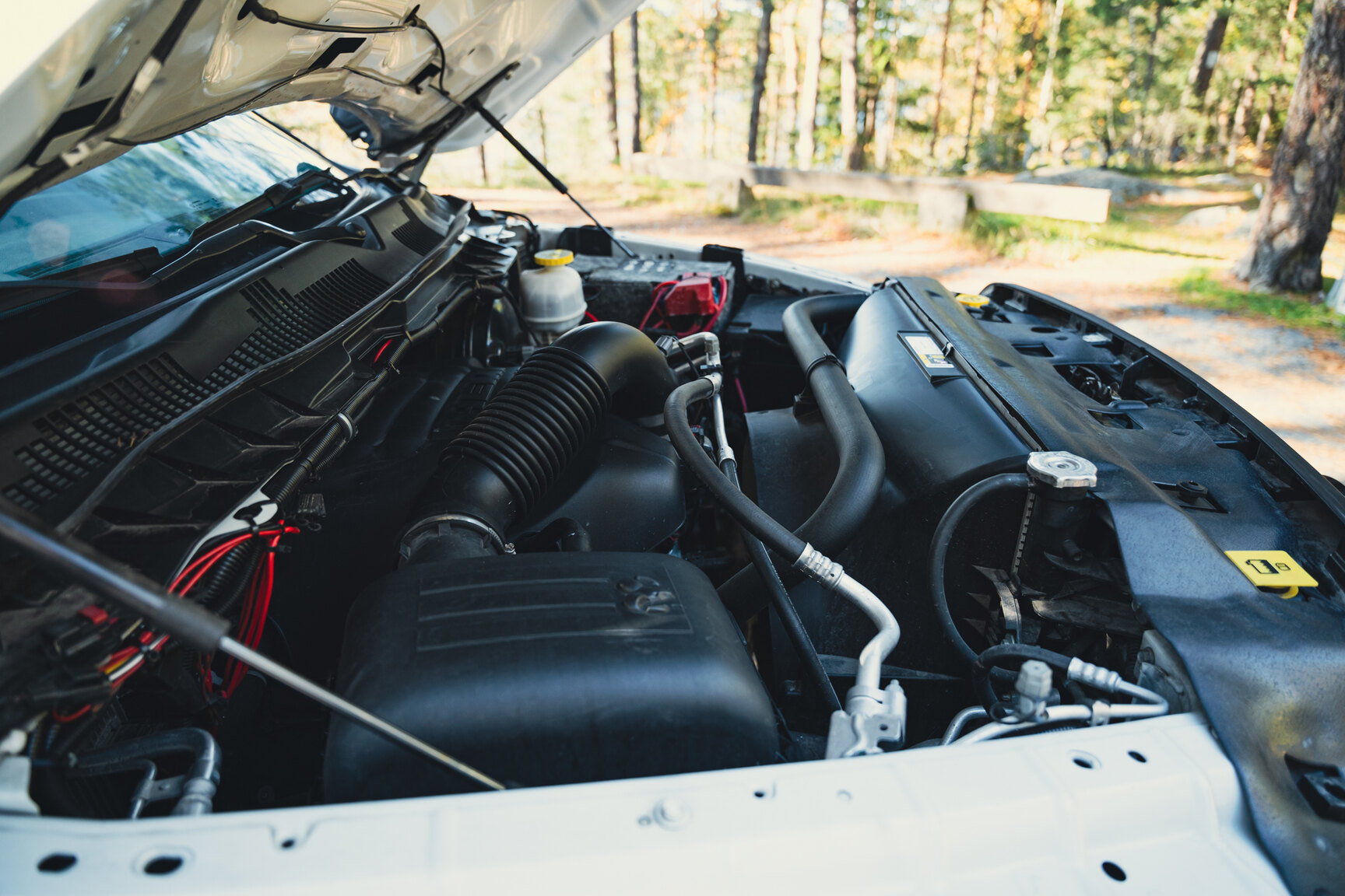 Image of 2017 Dodge Ram 1500 AEV (5) mechanics