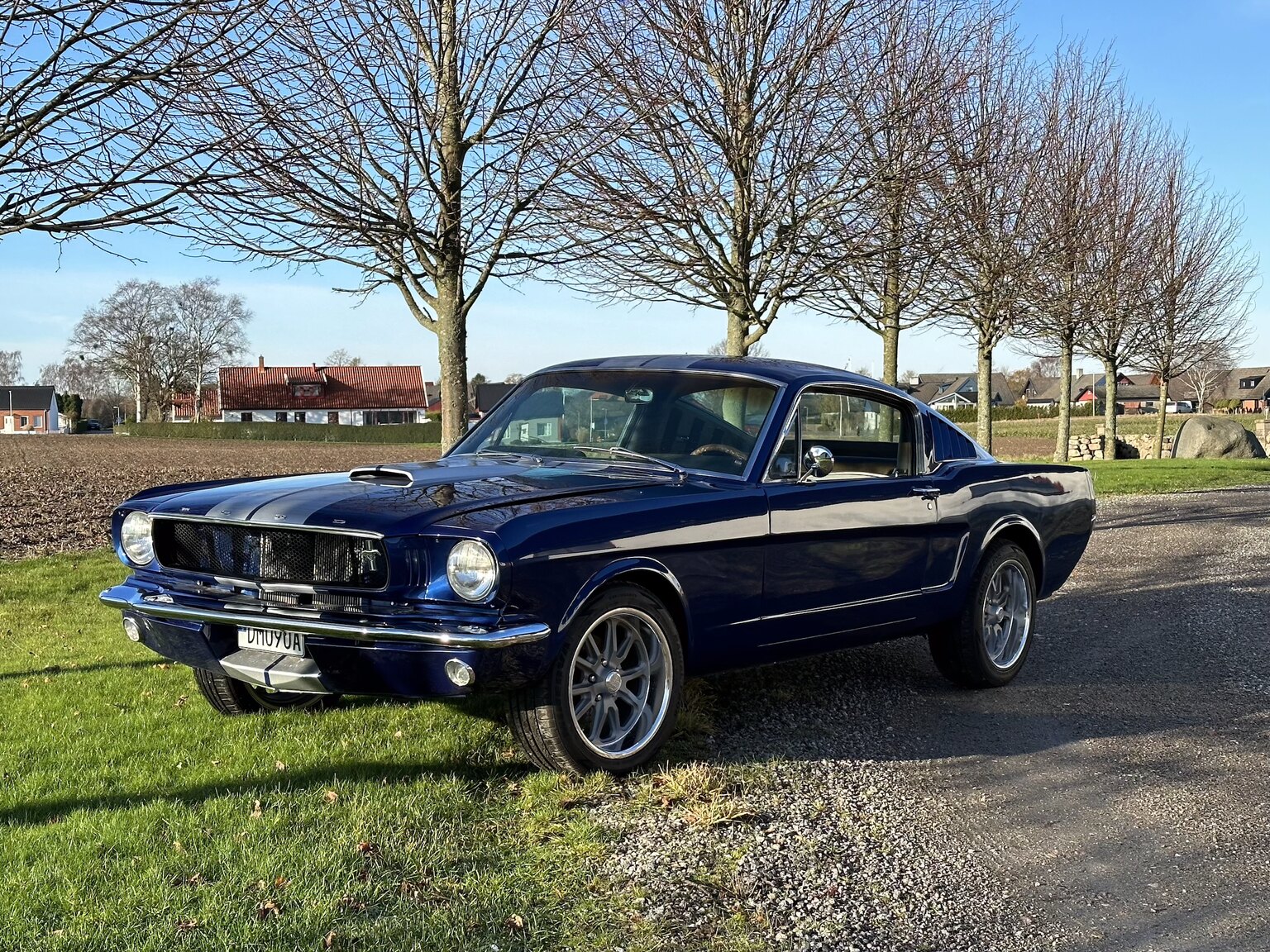 Aussenfoto 1965 Ford Mustang Fastback 351W (64)
