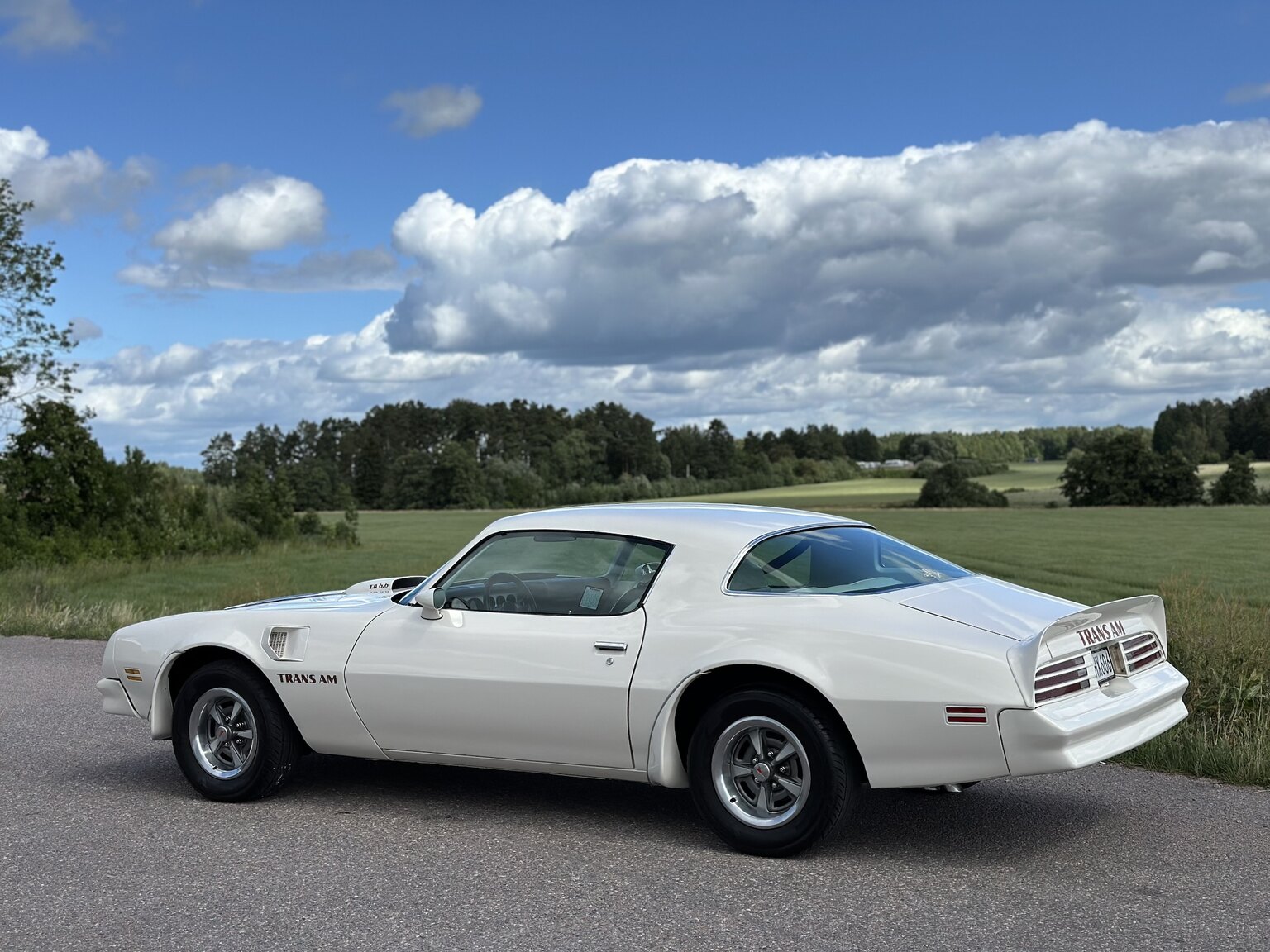 Exterior image of 1976 Pontiac Firebird Trans Am