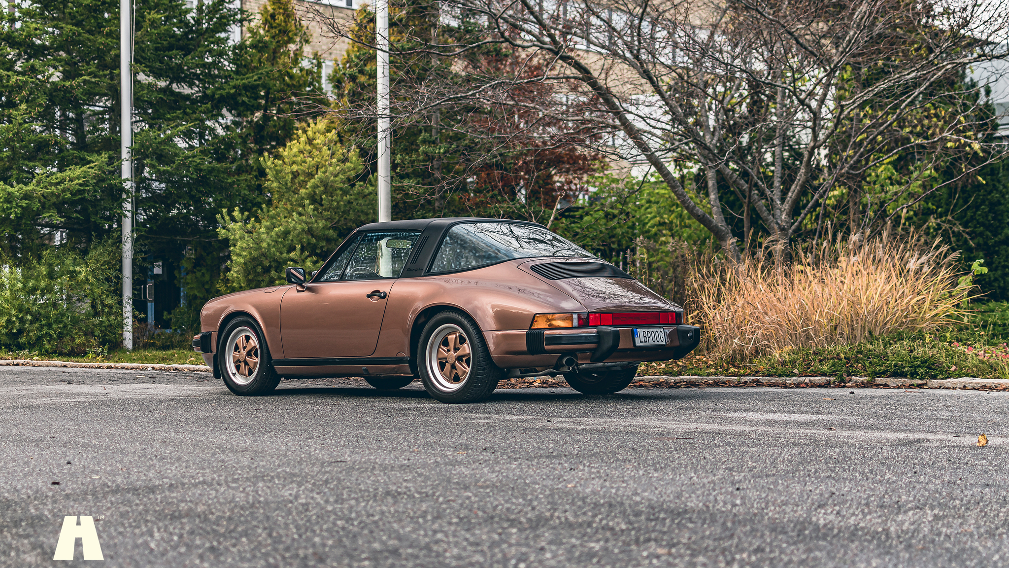 Aussenfoto 1989 Porsche 911 Carrera 3.2 Targa (5)