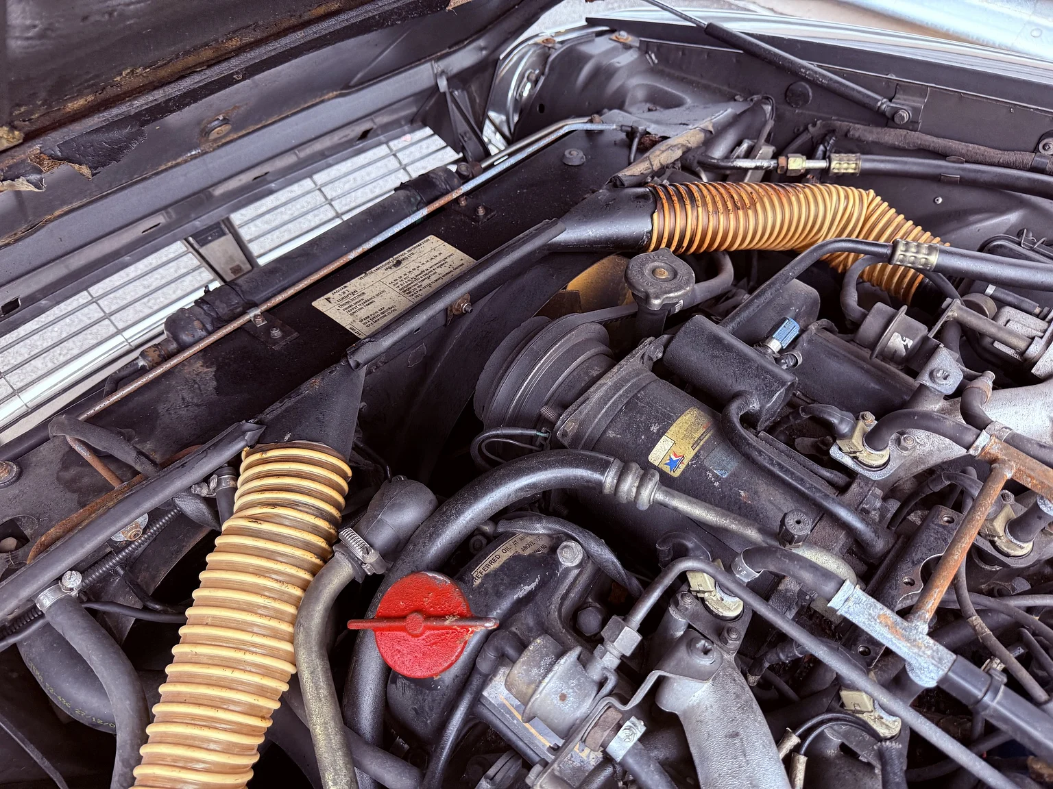 Image of 1985 Jaguar XJS HE (9) mechanics