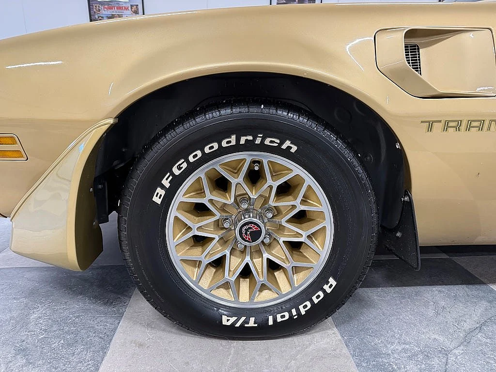 Bild von 1979 Pontiac Firebird (14)