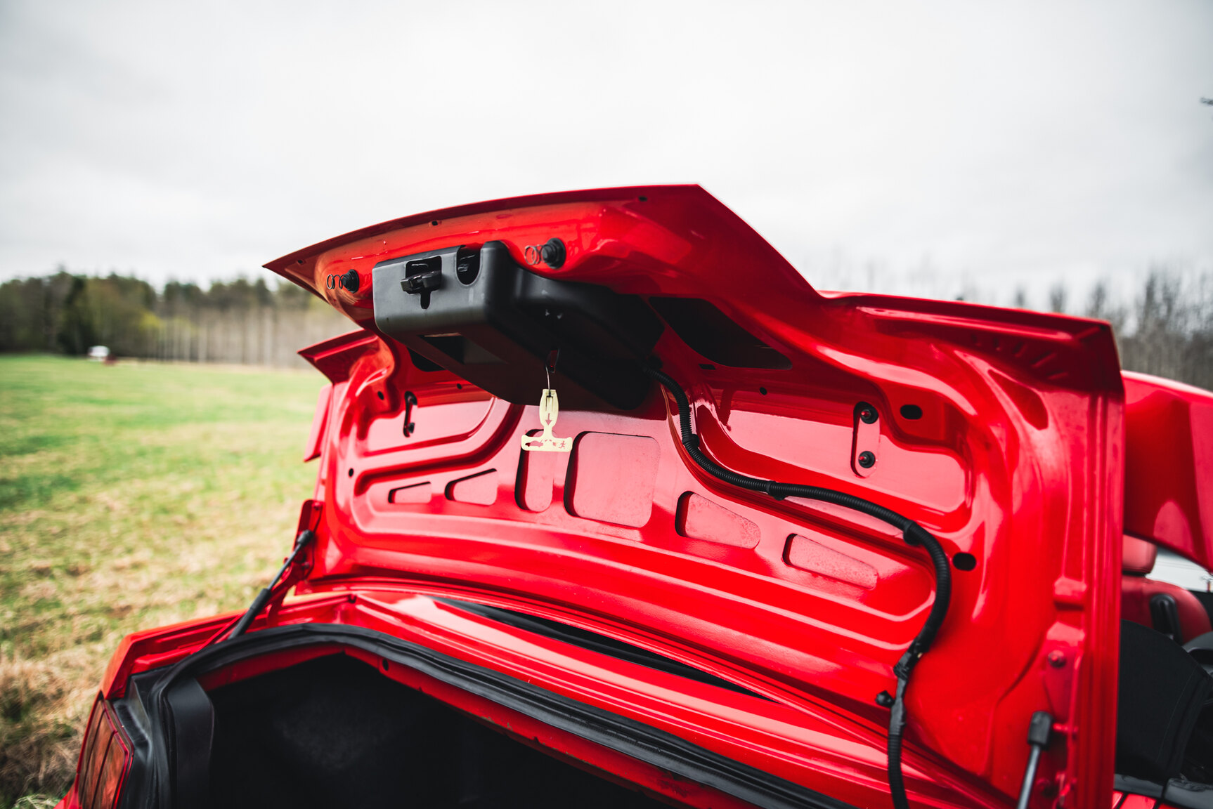 Interior image of 2009 Ford Mustang V8 GT Convertible