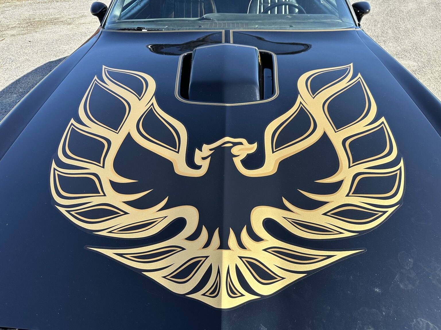 Exteriörbild på 1978 Pontiac Trans Am Bandit 400