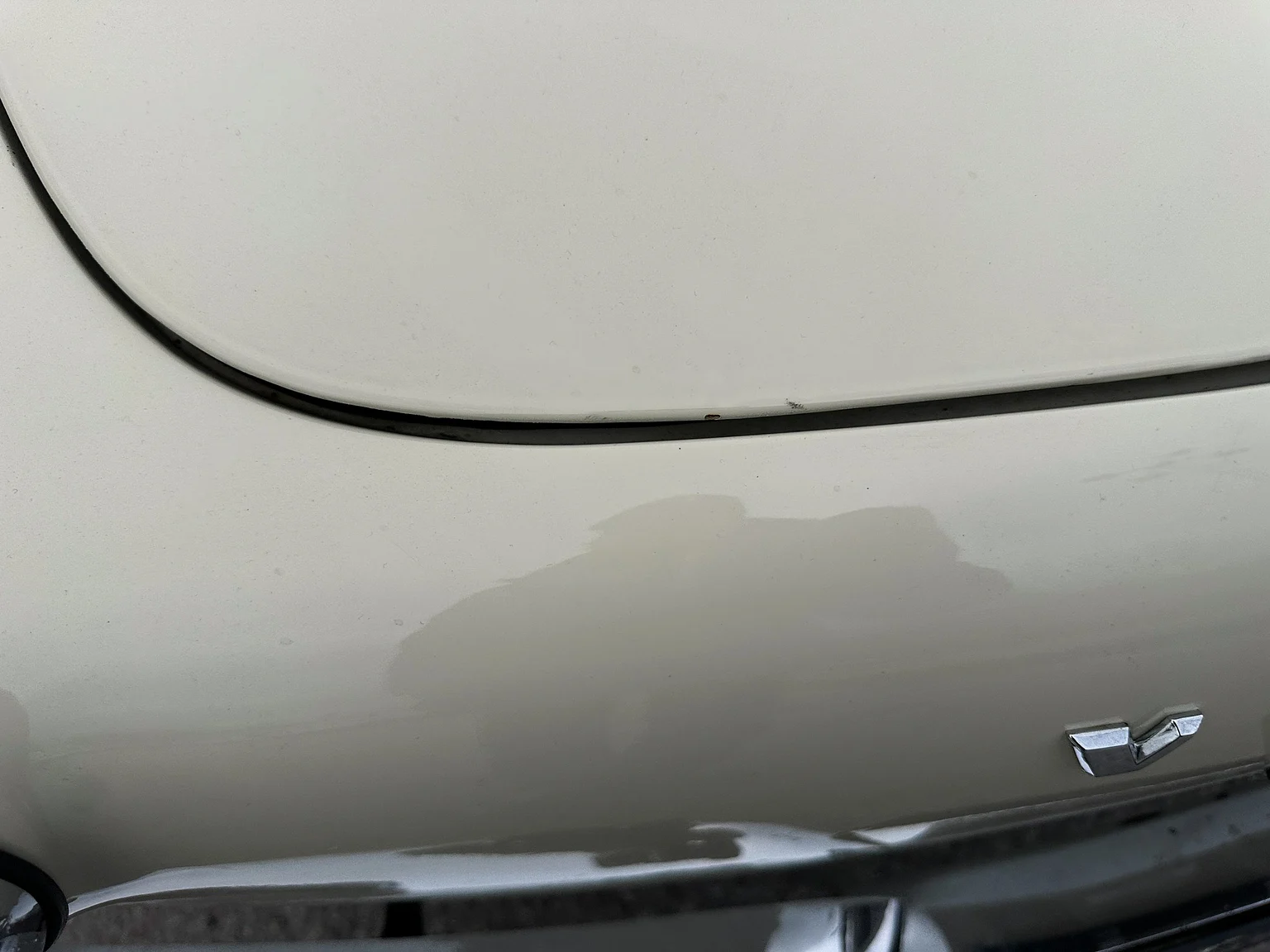 Aussenfoto 1964 Volvo P 1800S (95)