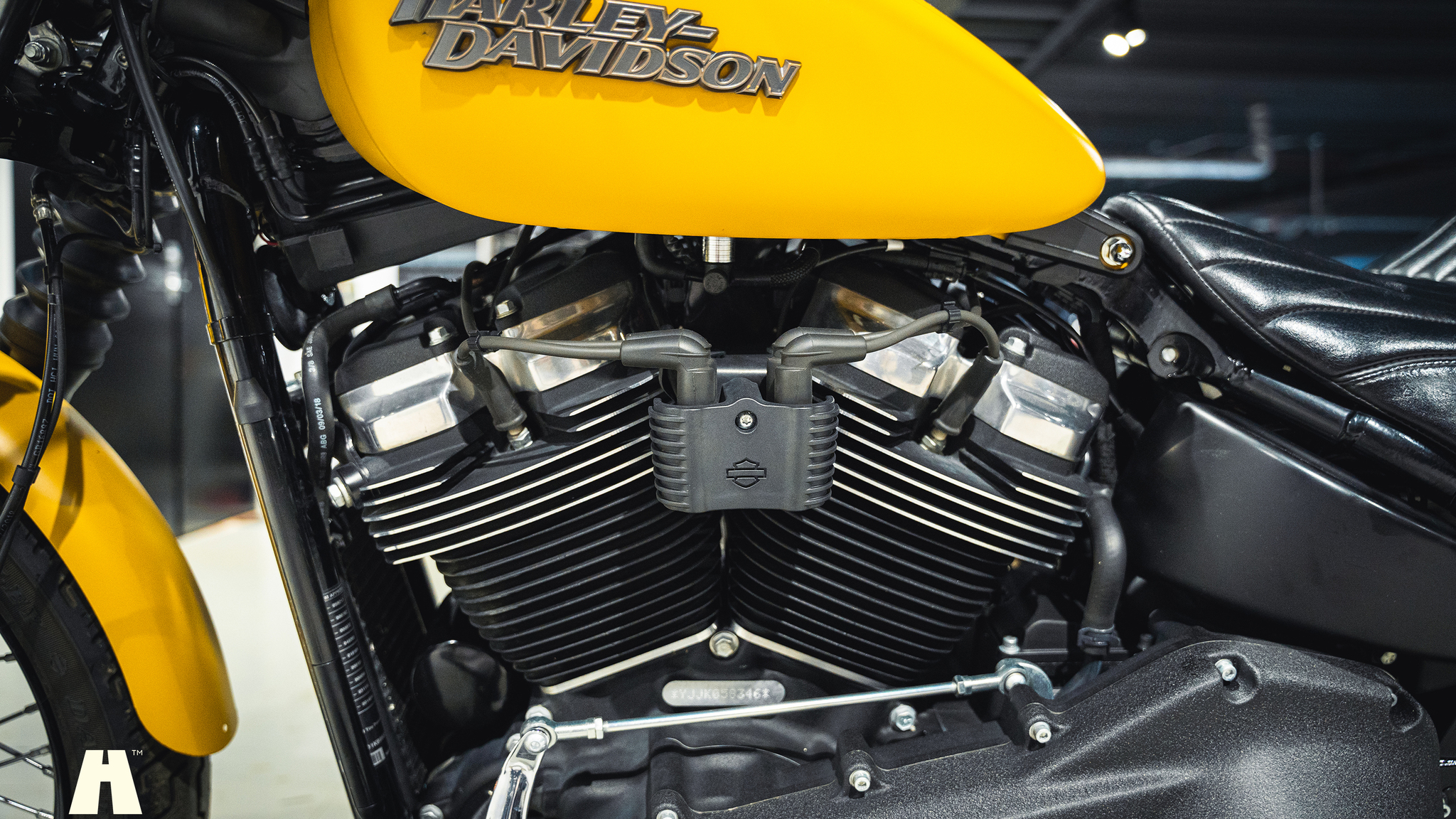 Image of 2019 Harley-Davidson Street BOB mechanics
