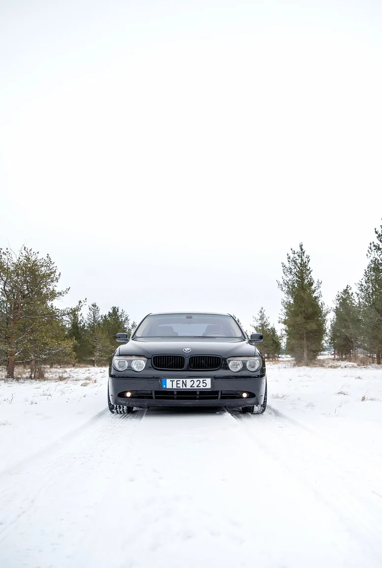 Exteriörbild på 2002 BMW  745 iA (1)