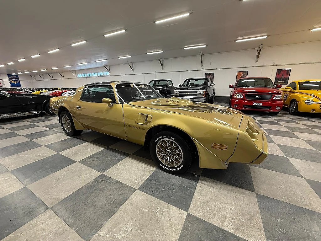 Bild von 1979 Pontiac Firebird (7)