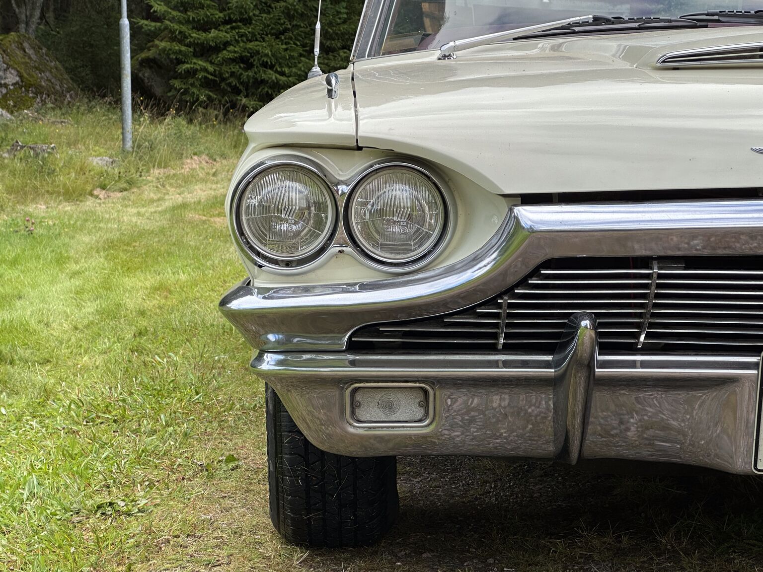 Aussenfoto 1965 Ford Thunderbird Hardtop 6.4 (17)