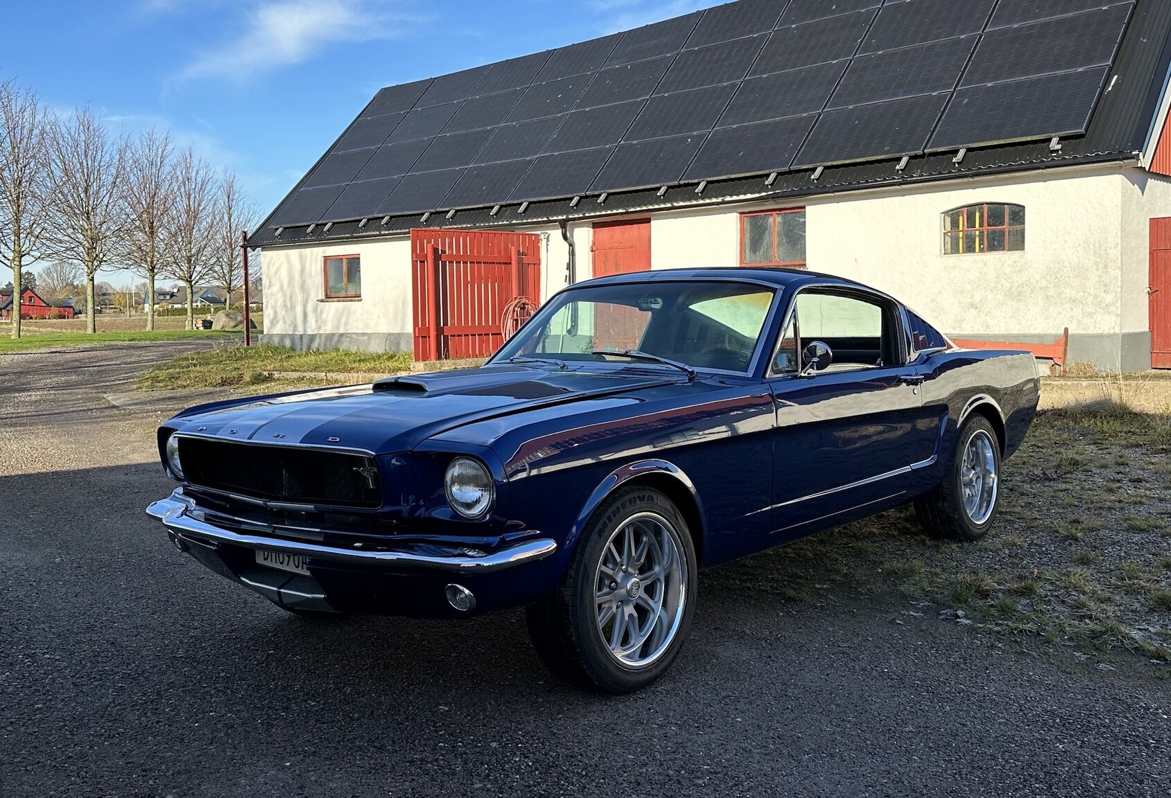 Aussenfoto 1965 Ford Mustang Fastback 351W (2)